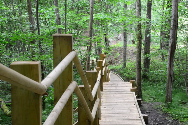 Foto Einer Neuen Holzbrücke Wald Aufgenommen Sigulda Lettland — Stockfoto