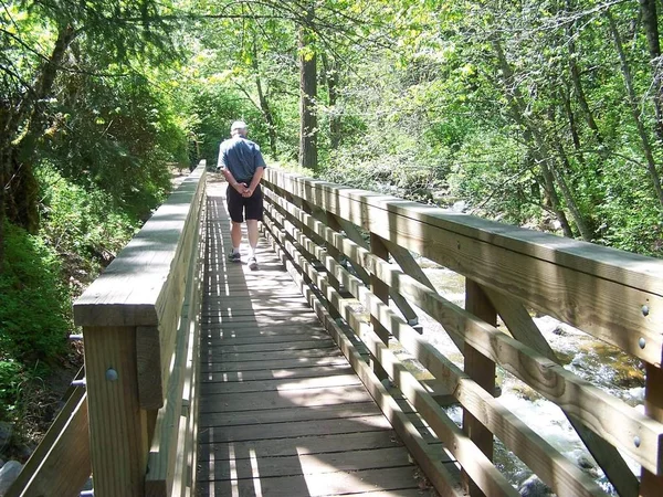 Mann Überquert Fußgängerbrücke Waldpark — Stockfoto