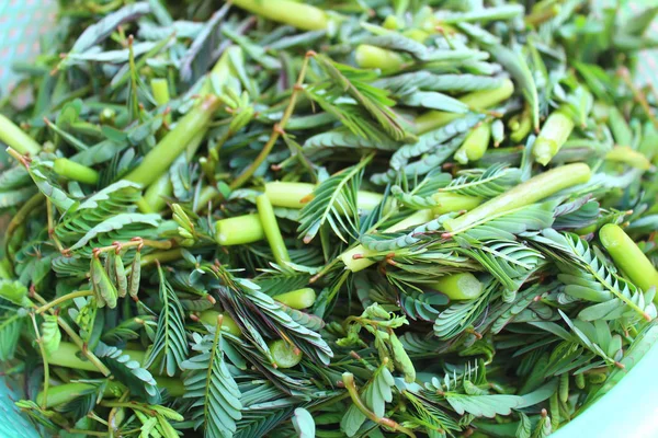 Las Verduras Una Canasta —  Fotos de Stock