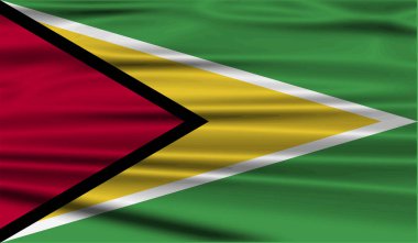 Flag of Guyana with old texture.  illustration clipart