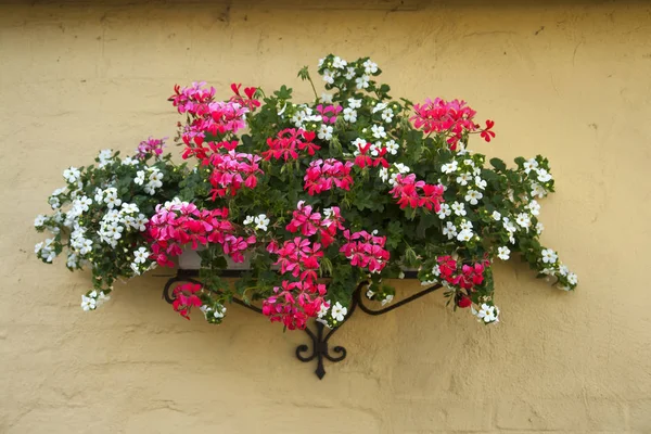 Schöne Klassische Design Blumentopf Auf Einer Ziegelwand — Stockfoto