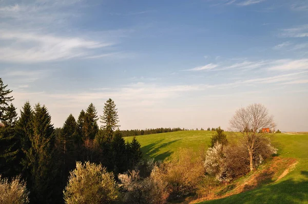 Schöne Grüne Wiese Ländlicher Landschaft Mit Frühlingsfarben — Stockfoto