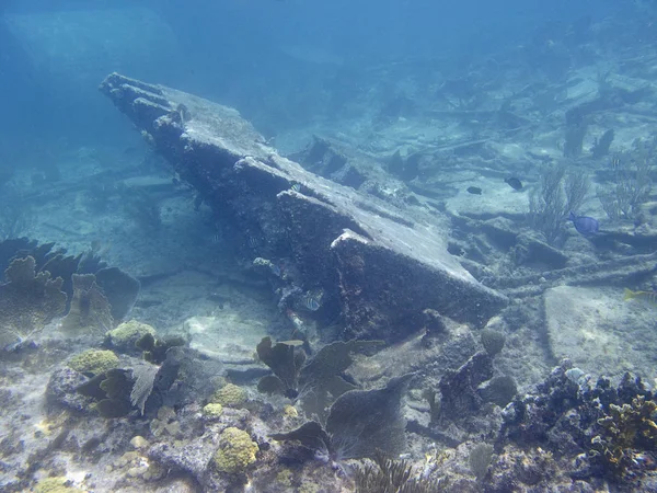 Naufrage Bateau Vapeur Servant Maintenant Récif Corallien Abrite Nombreux Poissons — Photo