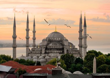 Seagulls over Blue Mosque and Bosphorus in Istanbul, Turkey clipart