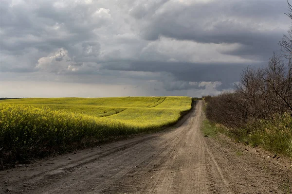 Σύννεφα Καταιγίδας Καναδά Αγροτικής Υπαίθρου Prairie Σκηνή — Φωτογραφία Αρχείου