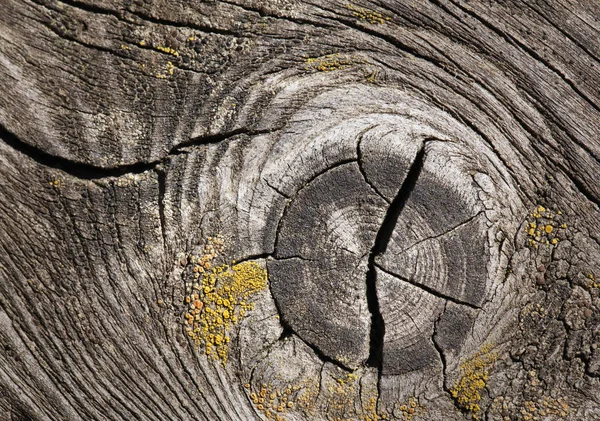 Closeup Starých Popraskané Dřevo Textury Nebo Pozadí — Stock fotografie