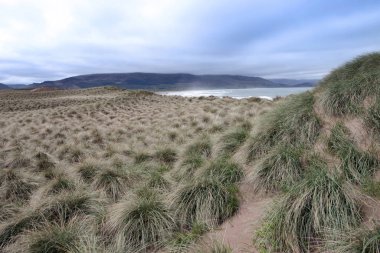 view of dunes at the maharees a beautiful beach in county Kerry Ireland clipart