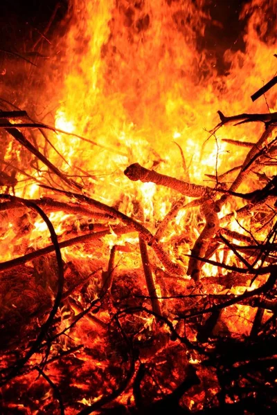 Вогнище Лісі — стокове фото