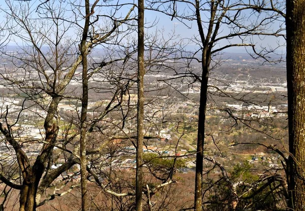 Chattanooga Tennessee Travers Les Arbres — Photo