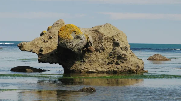 Mamute Pedra Baía Tikhaya Ilha Sakhalin Rússia — Fotografia de Stock