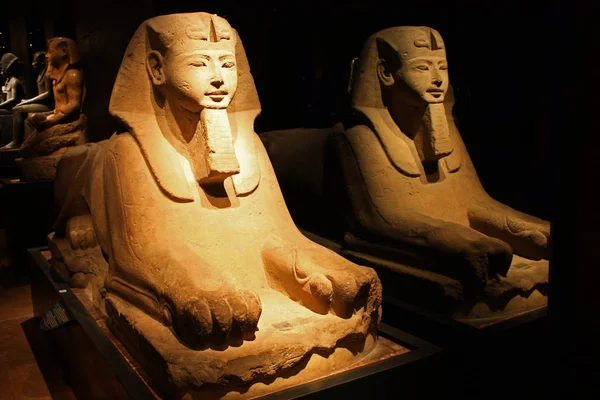 Estatua Egipcia Museo Egizio Turín Italia Este Museo Está Especializado — Foto de Stock