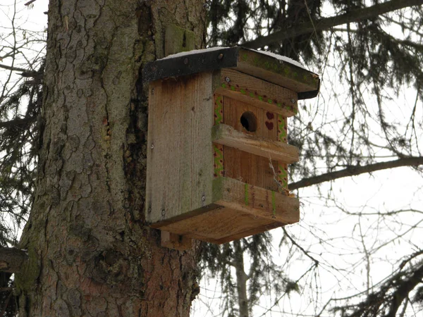 Foto Van Onroerend Goed Bird House — Stockfoto