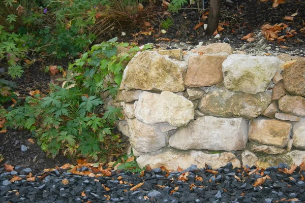 Část Suché Kamenné Zdi Okrasné Zahradě — Stock fotografie