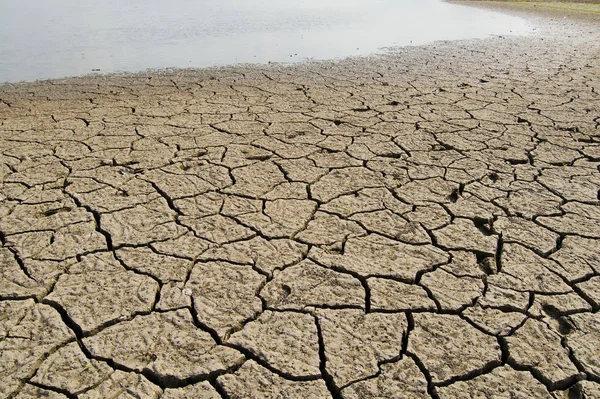 Terra Rachada Preta Após Uma Inundação — Fotografia de Stock