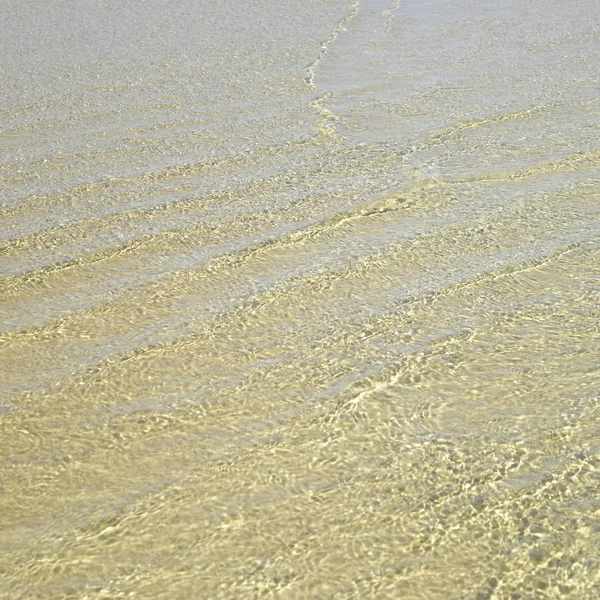 金色の砂の透明な海の水 — ストック写真