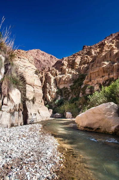 Landskapet Flödande Vatten Creek Wadi Hasa Jordan — Stockfoto