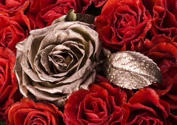 Rosas Románticas Maravilloso Tema Vívido Primavera — Foto de Stock