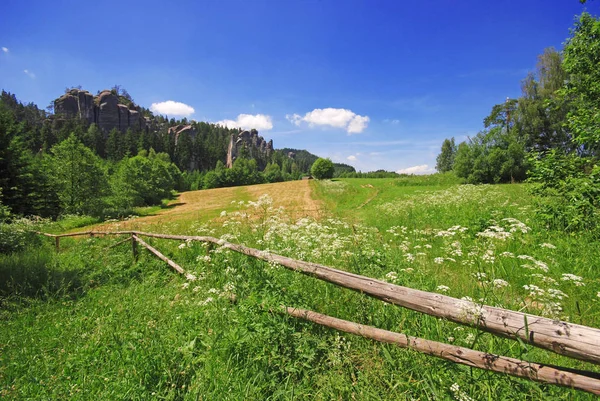 Vackert Sommar Fält Anderspach Tjeckien — Stockfoto