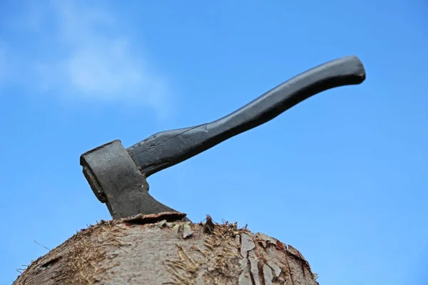 Axe Sticking Tree Trunk — Stock Photo, Image