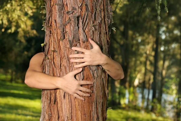 Conservacionista Treehugger Con Brazos Envueltos Alrededor Una Conífera — Foto de Stock