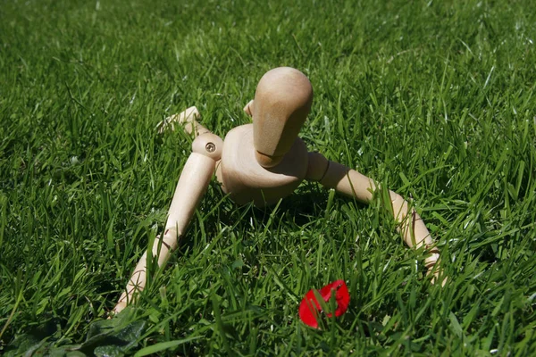 Art Model Man Crawling Grass — Stock Photo, Image