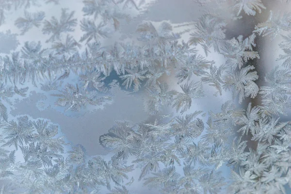 Vinter Fönster Närbild Snö Mönster Fönstren Frost Snow City — Stockfoto