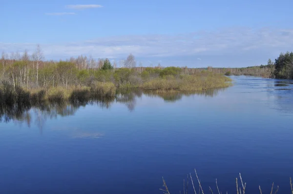 Manzara Olabilir Pra Nehri Ryazan Bölgesinde Meschera Milli Parkı Rusya — Stok fotoğraf