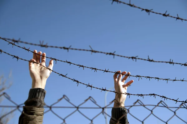 Mãos Alcançar Liberdade Através Arame Farpado — Fotografia de Stock