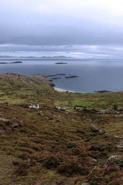Красивый Вид Керри Ирландию Полей Береговой Линии Островов — стоковое фото