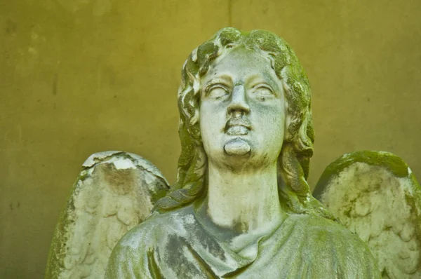 Detalle Una Antigua Lápida Mármol Antiguo Cementerio Bonn —  Fotos de Stock