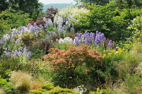 Scène Jardin Résonnant Une Telle Vue Partout Dans Monde Les — Photo