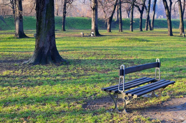 Raios Sol Manhã Cedo Sombras Árvores Parque — Fotografia de Stock