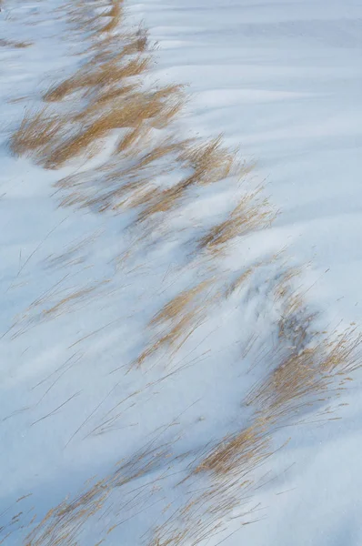 Vítr Fouká Sucha Sněhu — Stock fotografie