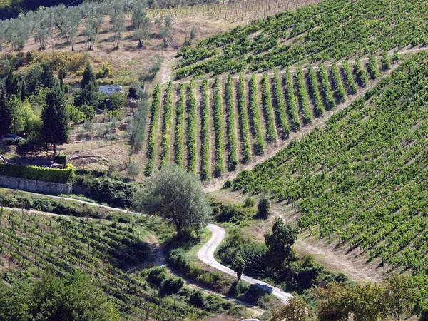 Agronegócio Chianti Toscana — Fotografia de Stock