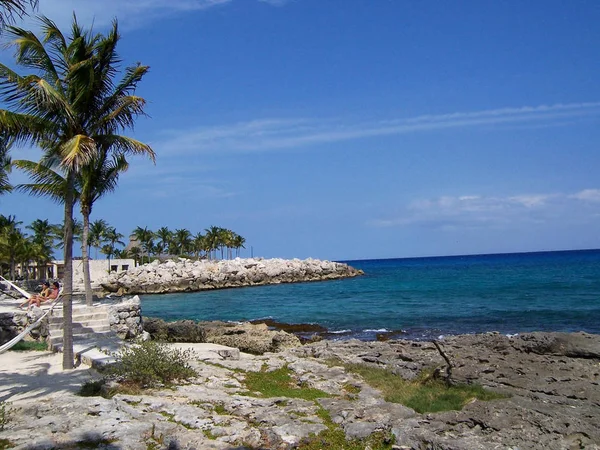 Μεξικάνικη Παραλία Στη Χερσόνησο Γιουκατάν Δέντρα Βράχια Και Αιώρες — Φωτογραφία Αρχείου