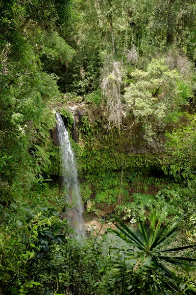 Невеликий Водоспад Amber Полонини Національний Парк Найбагатших Біорізноманіття Краєвид Незаймана — стокове фото