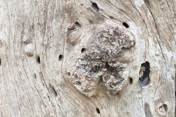 Alte Holz Textur Hintergrund Nahaufnahme Schuss — Stockfoto