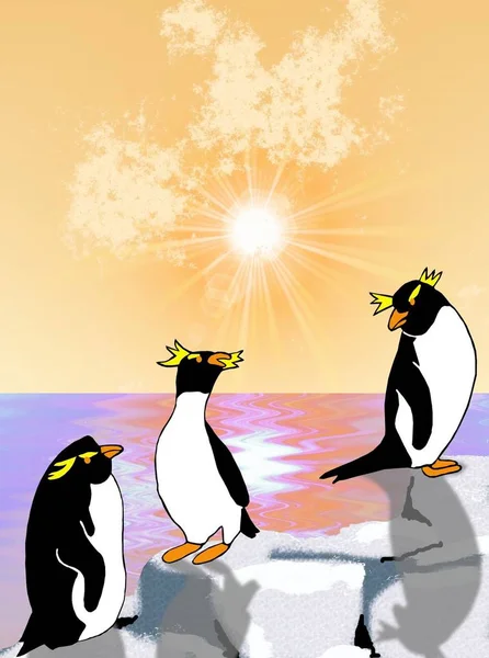 Рок Хопер Пінгвіни Охолоджують Скелі Коли Сонце Встановлює Над Океаном — стокове фото