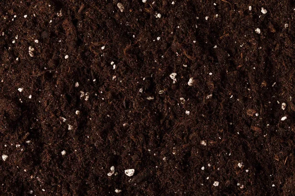 Почва Белом — стоковое фото