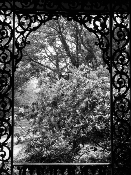 铁栅栏与阿拉巴马州贝林格拉斯花园和家园的美丽花园接壤 — 图库照片