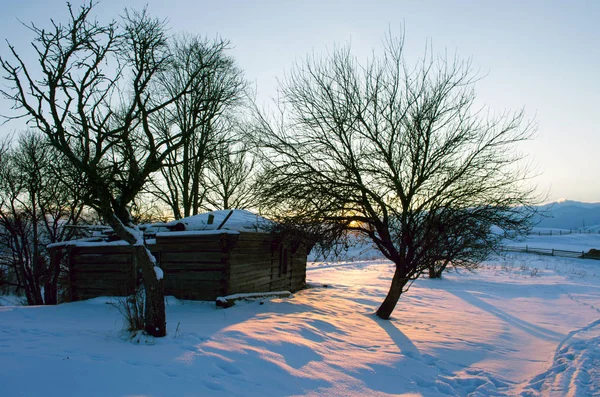 Soluppgång Vinter Bergen Soluppgång Karpaterna Ukraina — Stockfoto