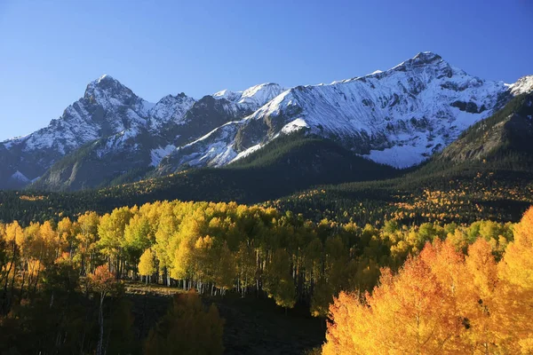 ダラスに分割し Uncompahgre 国有林 コロラド州 — ストック写真