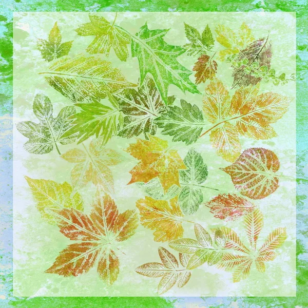 水彩抽象化 紙に描かれた葉 — ストック写真