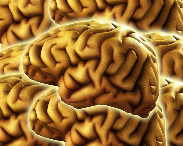 Background Made Out Human Brains Would Good Medical Thought Concepts — Stock Photo, Image