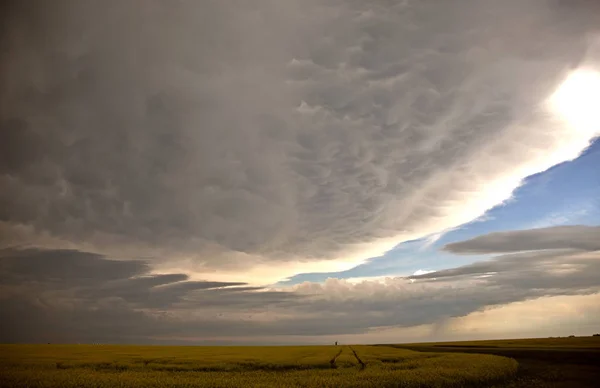Prairie Molnen Olycksbådande Väder Saskatchewan Kanada — Stockfoto