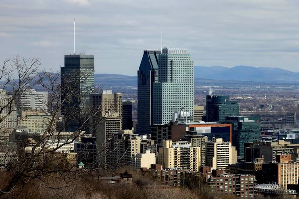 Utsikten Från Westmount Jakt Downtown Montreal — Stockfoto