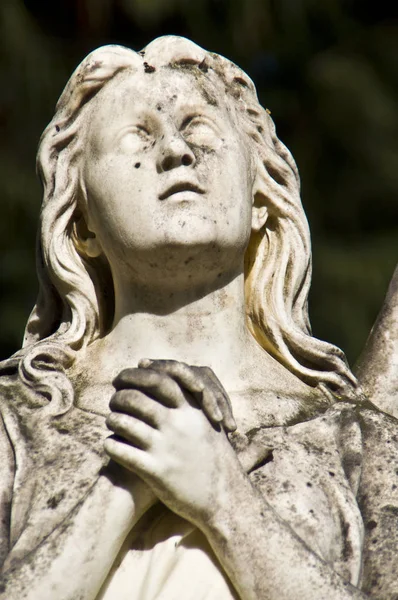 Detalle Una Antigua Lápida Mármol Antiguo Cementerio Bonn —  Fotos de Stock