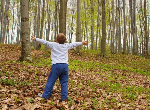 少年が腕を広げて森の中に立ち 空気を吸っている — ストック写真
