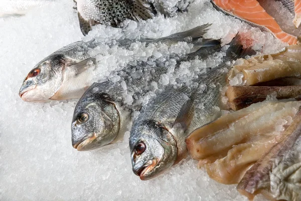 Pez Dorado Los Juegos Peces Sobre Fondo Hielo — Foto de Stock