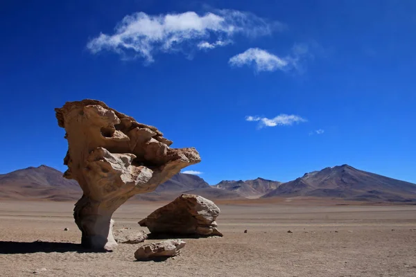 Ünlü Rock Oluşumu Taş Ağaç Veya Arbol Piedra Güneybatı Bolivya — Stok fotoğraf